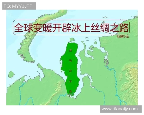 亚马尔地区的能源战略与全球气候变化的互动影响分析