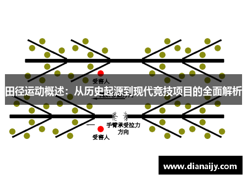 田径运动概述：从历史起源到现代竞技项目的全面解析
