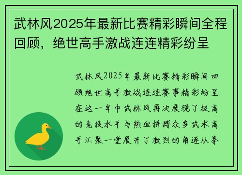 武林风2025年最新比赛精彩瞬间全程回顾，绝世高手激战连连精彩纷呈