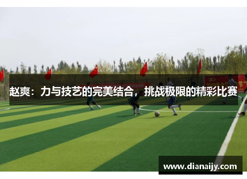 赵爽：力与技艺的完美结合，挑战极限的精彩比赛