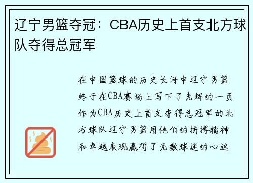 辽宁男篮夺冠：CBA历史上首支北方球队夺得总冠军