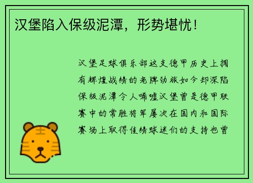 汉堡陷入保级泥潭，形势堪忧！