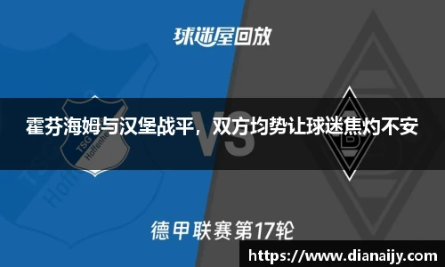 霍芬海姆与汉堡战平，双方均势让球迷焦灼不安