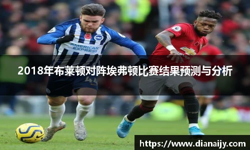 2018年布莱顿对阵埃弗顿比赛结果预测与分析