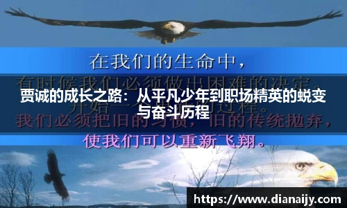 球速体育在线