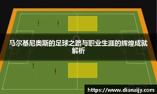 球速体育网站
