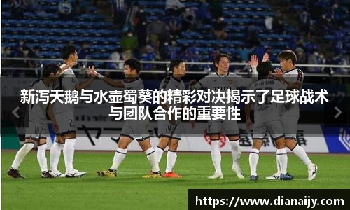 新泻天鹅与水壶蜀葵的精彩对决揭示了足球战术与团队合作的重要性
